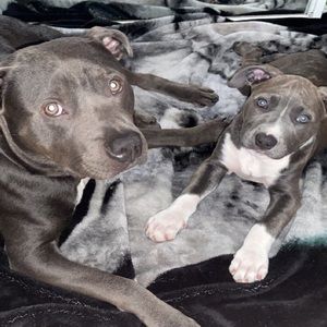 Meet your Posher, Isa